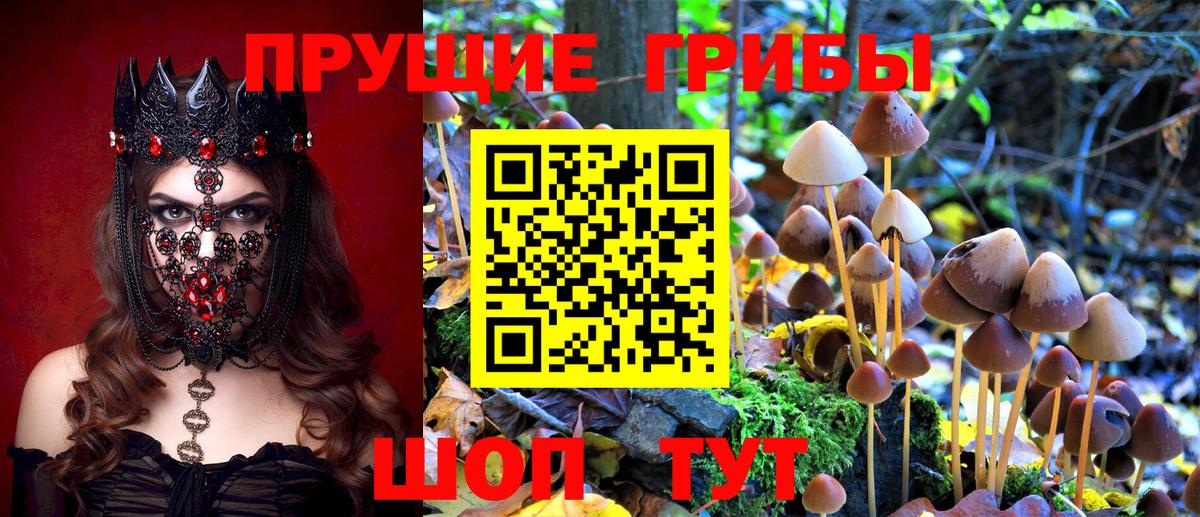Добрянка  Псилоцибиновые грибы мухоморы  Вход с VPN 
